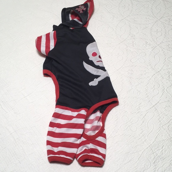 Medium Pirate Costume for Dog by Martha Stewart Pets - Picture 2 of 13